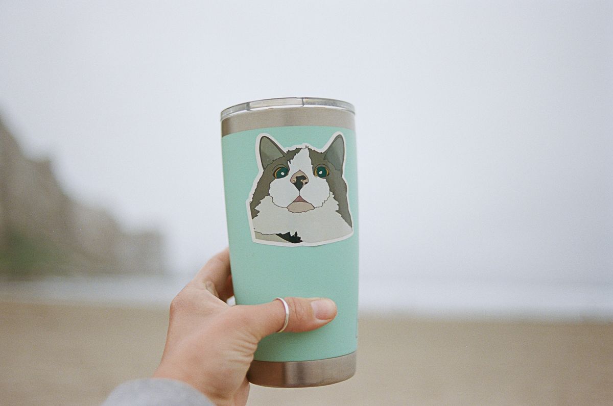 Turquoise insulated tumbler with cat illustration held against cloudy coastal background.