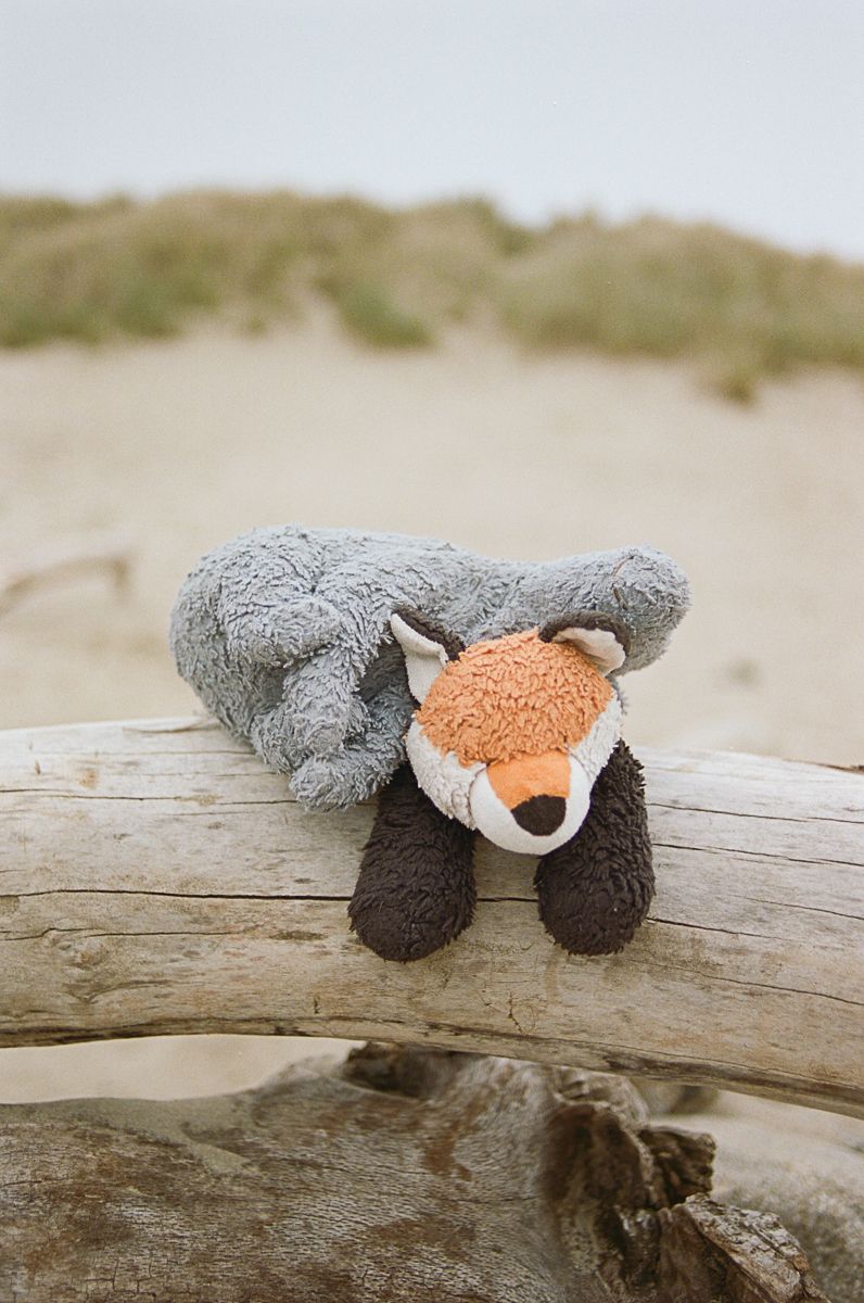 A gray and orange stuffed animal fox lying across a weathered piece of driftwood on a beach.