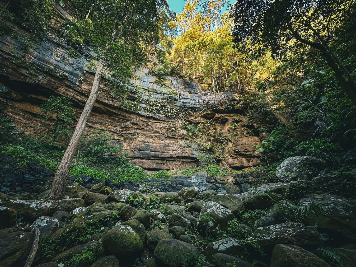 Natural rock overhang formation in a forest with sunlight filtering through the trees.