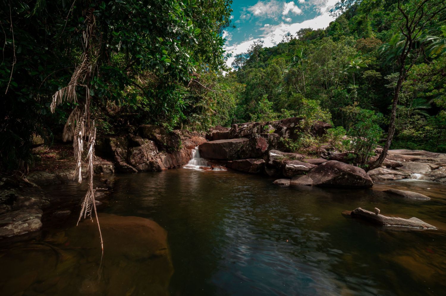Lush green forest surrounds a peaceful river with rocky outcrops and gentle rapids.