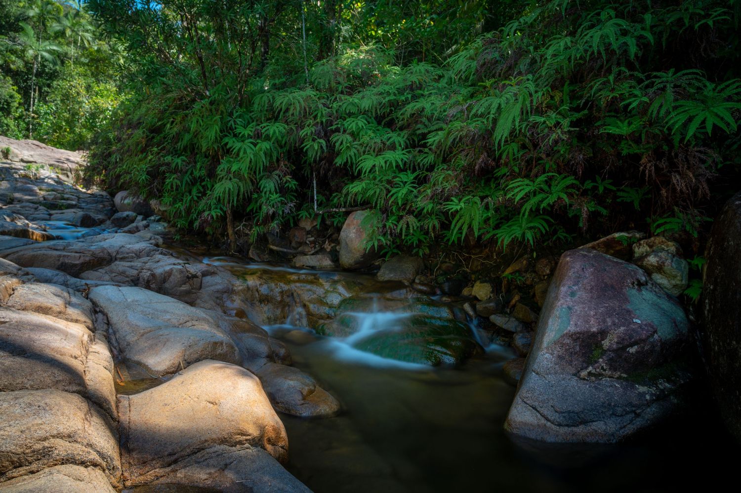 Serene forest stream flows through moss-covered rocks in a lush green landscape.