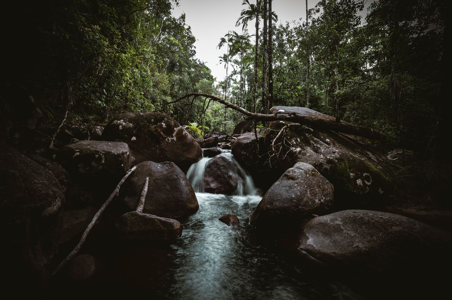 Tranquil forest creek winding through large boulders in low light conditions.