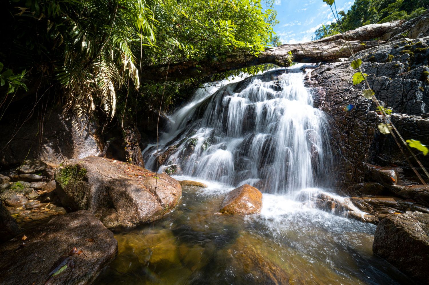 Series of waterfalls cascading over rocky ledges in a verdant forest landscape.