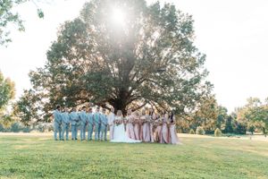 Wedding party poses on a sunny lawn with a majestic tree and sun flare in the background.
