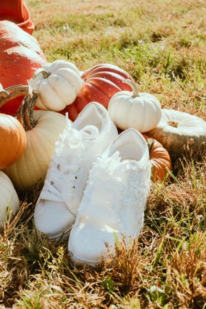 White sneakers arranged with white pumpkins on grass in autumn sunlight.