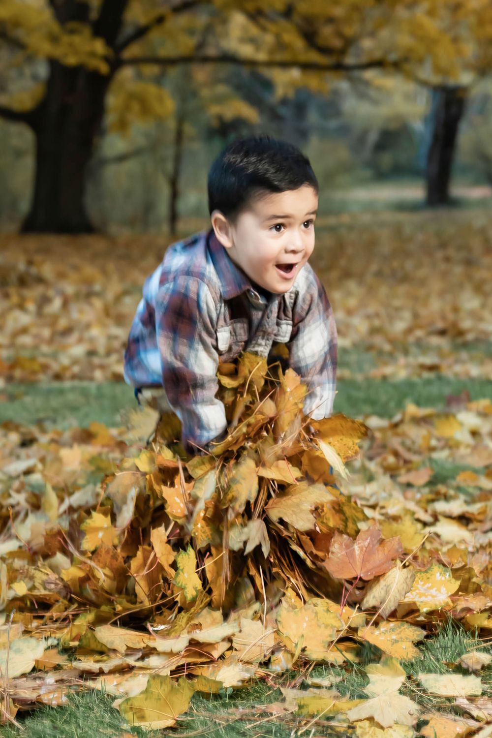 Family fall portraits take at Finch Arboretum in Spokane Washington.