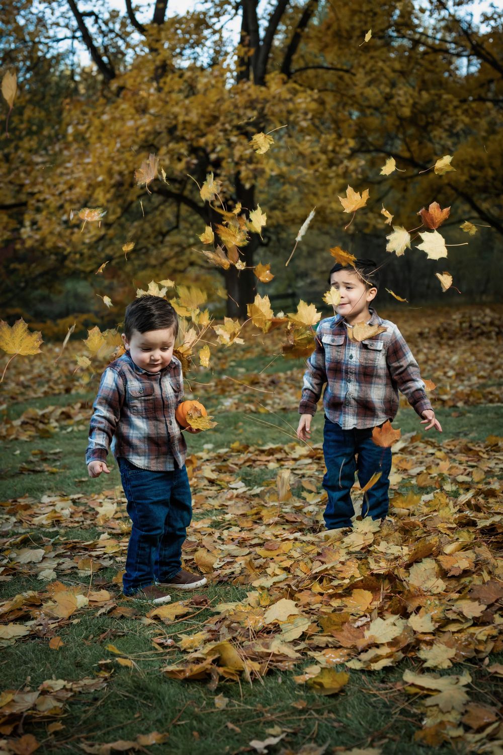 Family fall portraits take at Finch Arboretum in Spokane Washington.