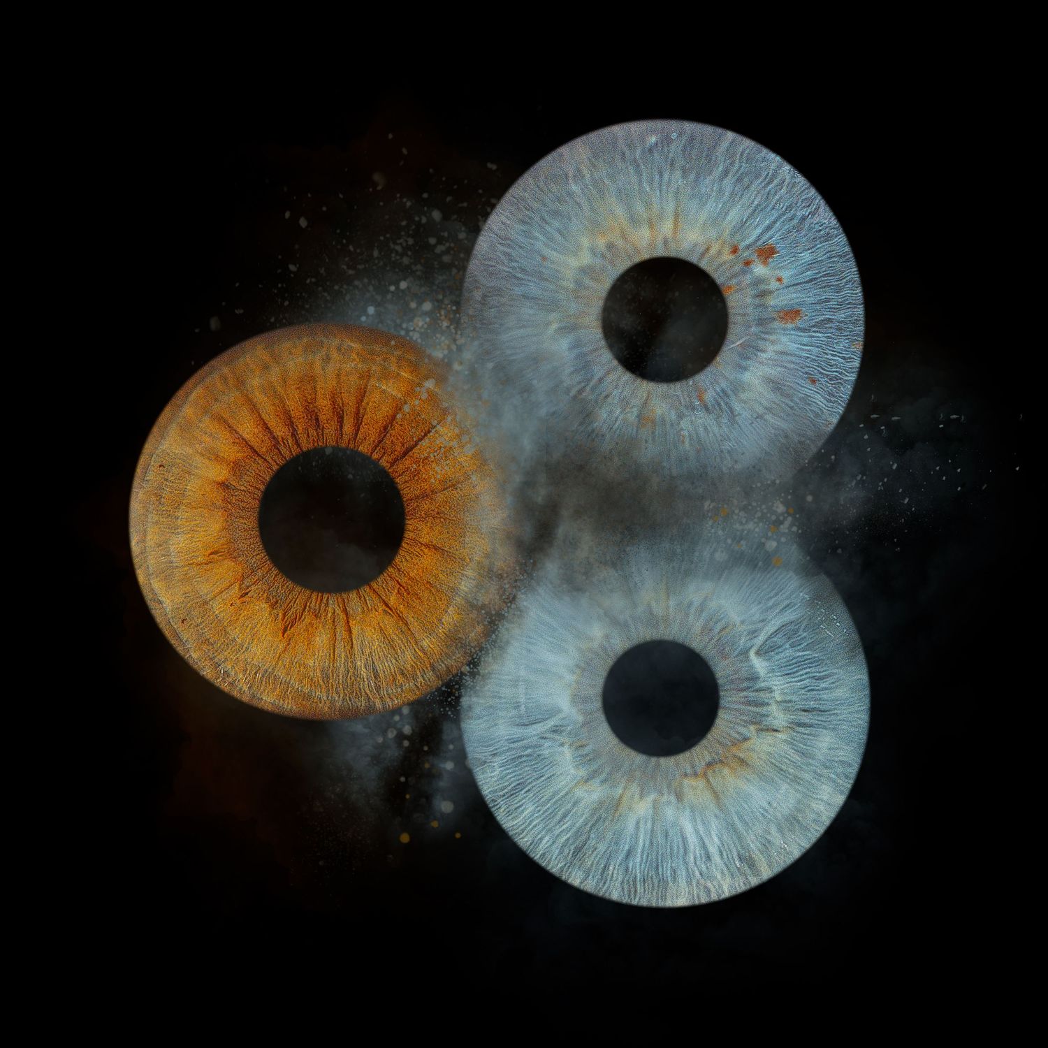 Abstract art series showing colorful iris-like circular shapes against dark backgrounds in various arrangements.