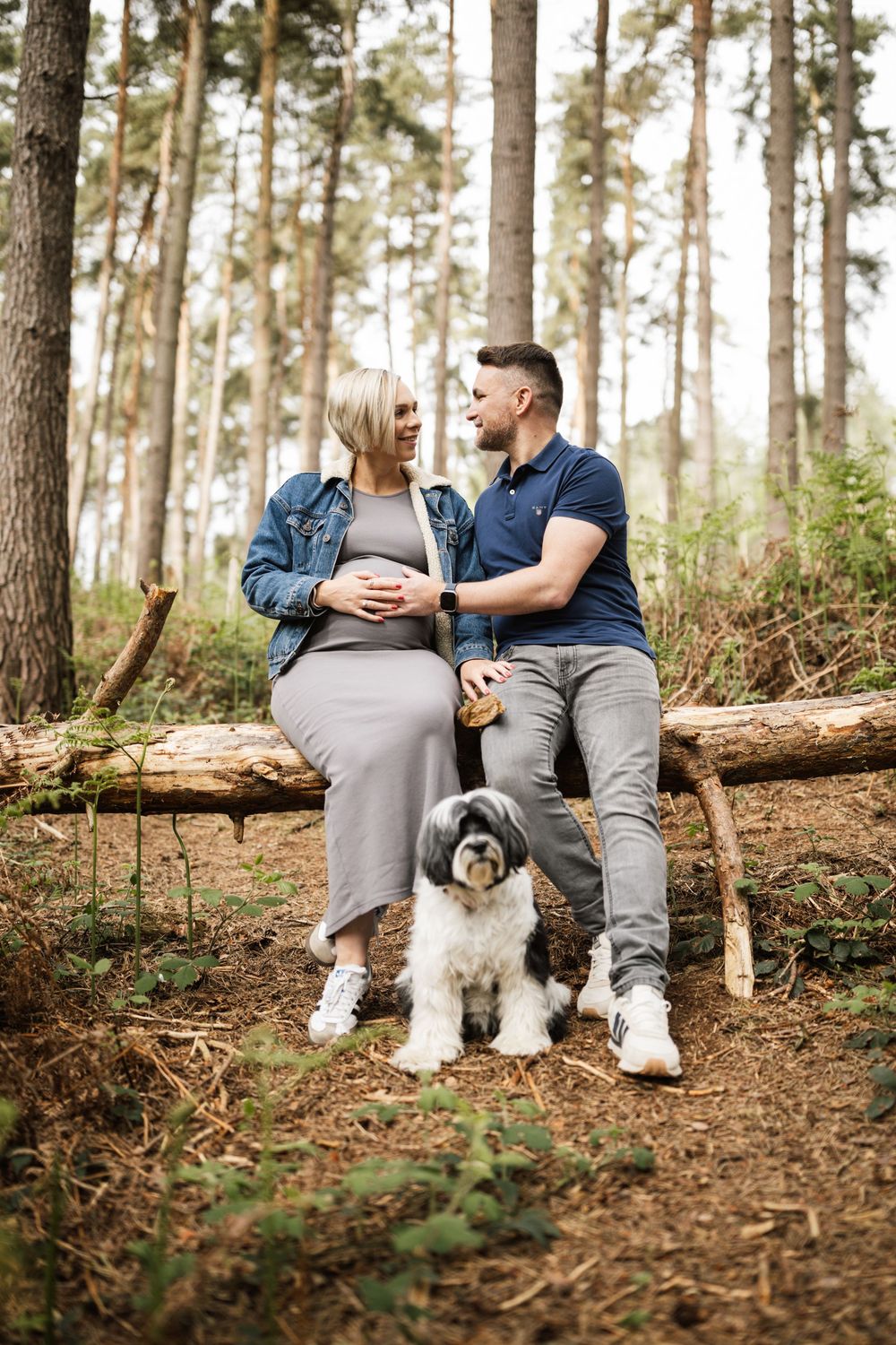 A couple sits on a fallen log in a pine forest with their fluffy white dog during an outdoor photo session.