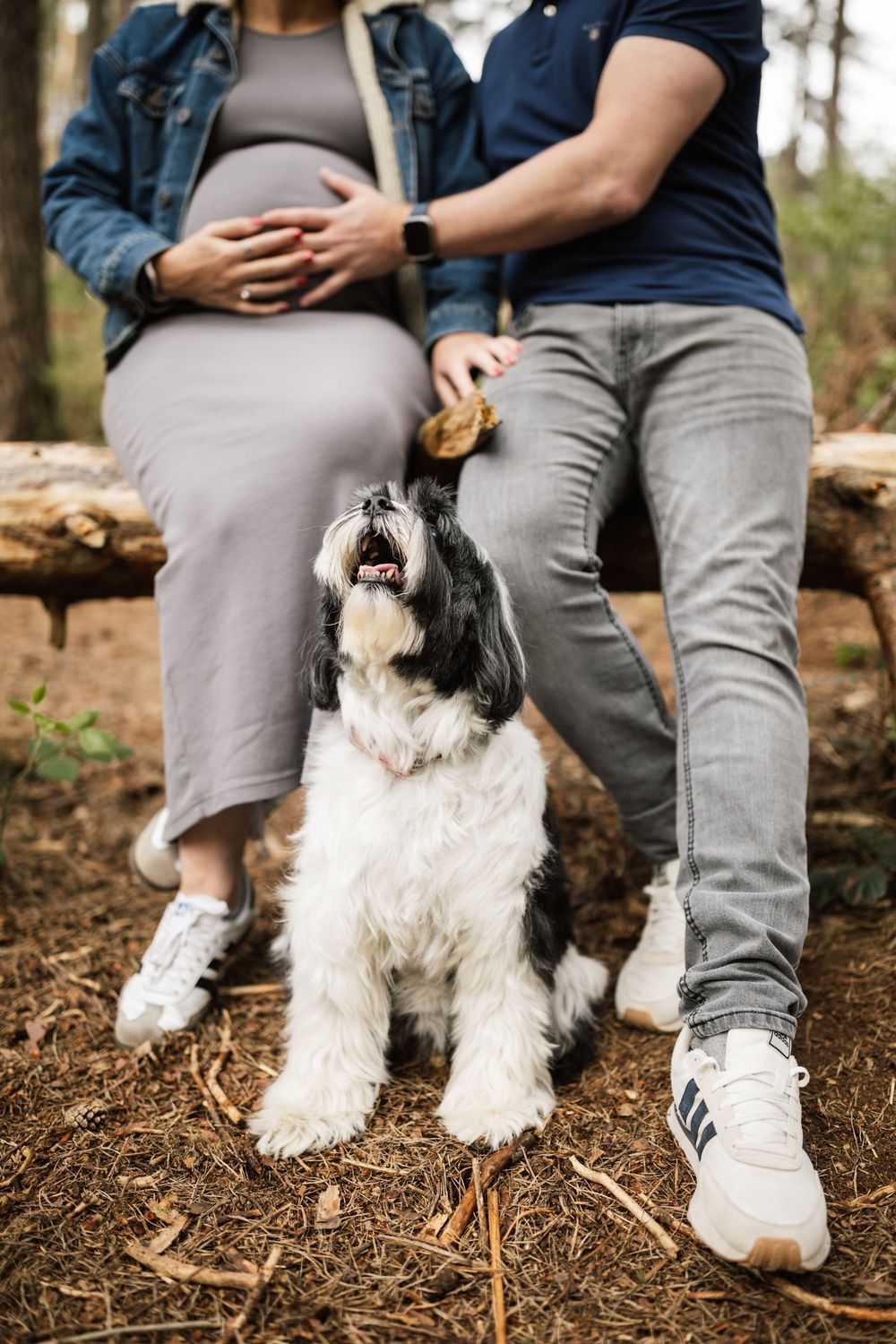 A small white dog sits between two people wearing jeans and sneakers on a forest floor covered in pine needles.