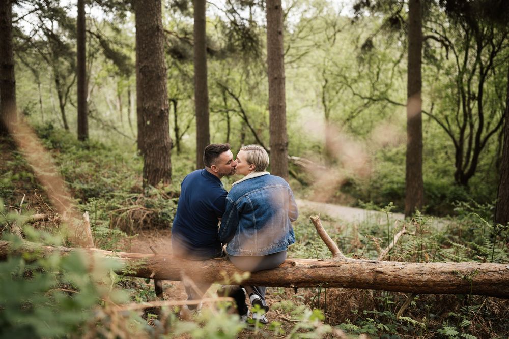 People enjoy a peaceful walk through a lush green forest with sunlight filtering through the trees.
