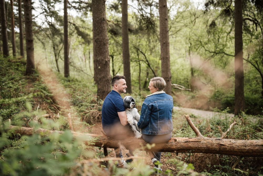 A couple sits together on a fallen log in a lush green forest setting during an outdoor photoshoot.