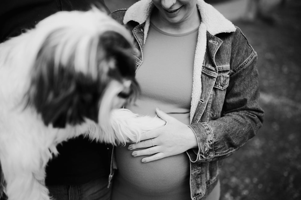 A black and white photo series showing a fluffy white dog being held and petted outdoors.