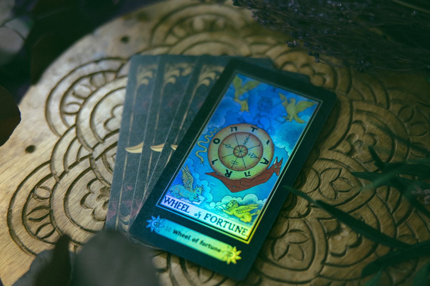 Asheville small business entrepreneur tarot card display during a personal and professional branding photography session