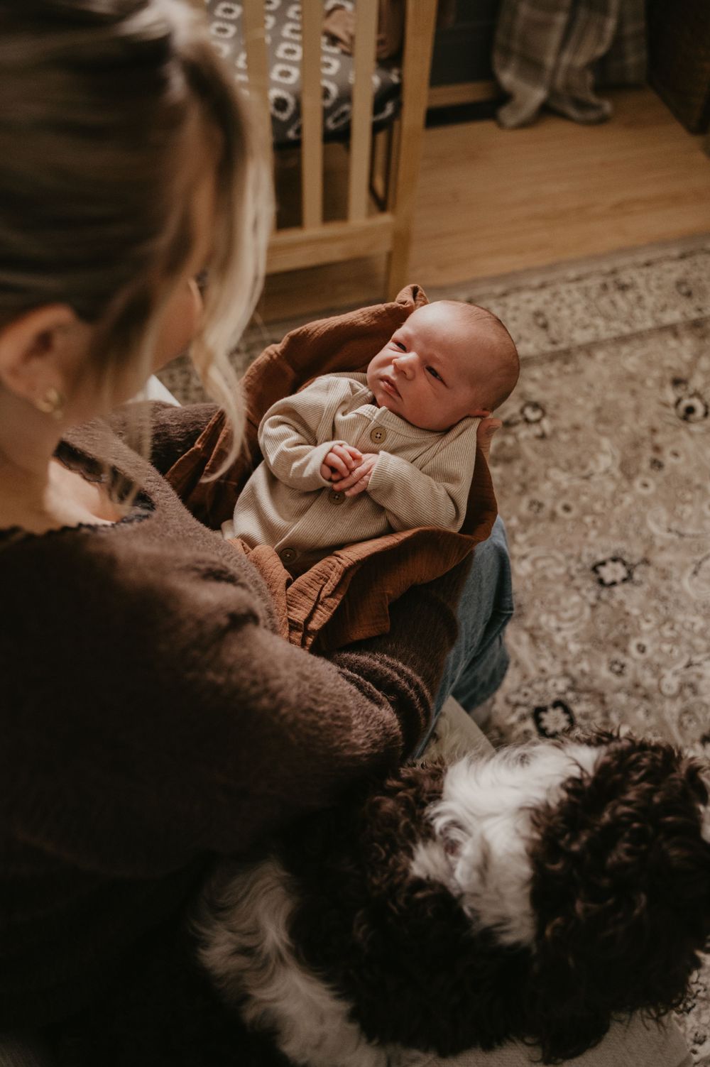 A heartwarming indoor scene shows a baby and a large fluffy dog bonding on a patterned area rug.