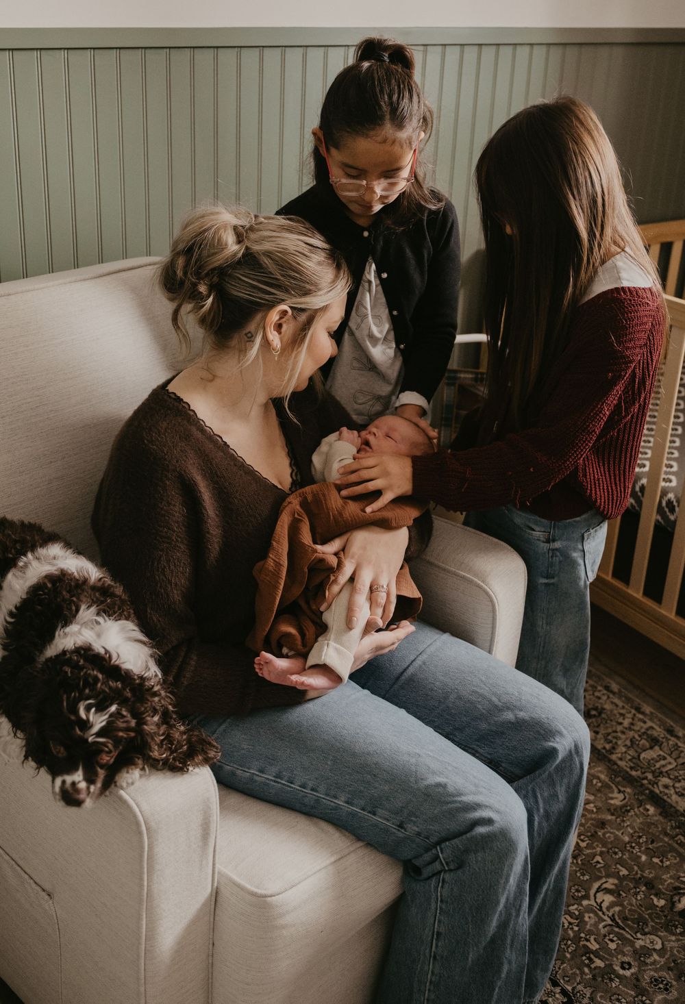 Series of intimate shots showing a person petting a black and white dog on a couch.