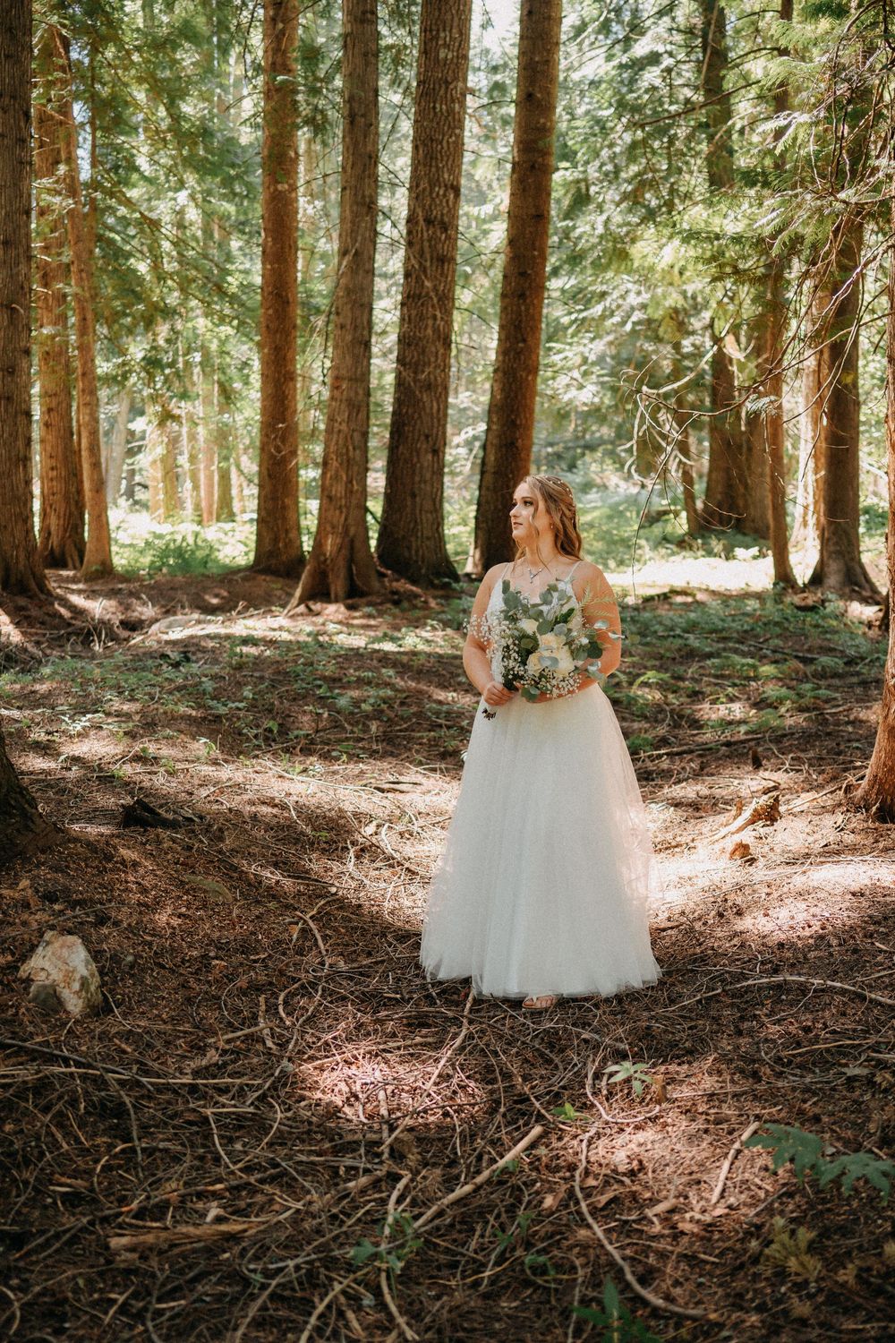 A romantic wedding photoshoot in a sunlit forest with tall evergreen trees creating a magical woodland backdrop.