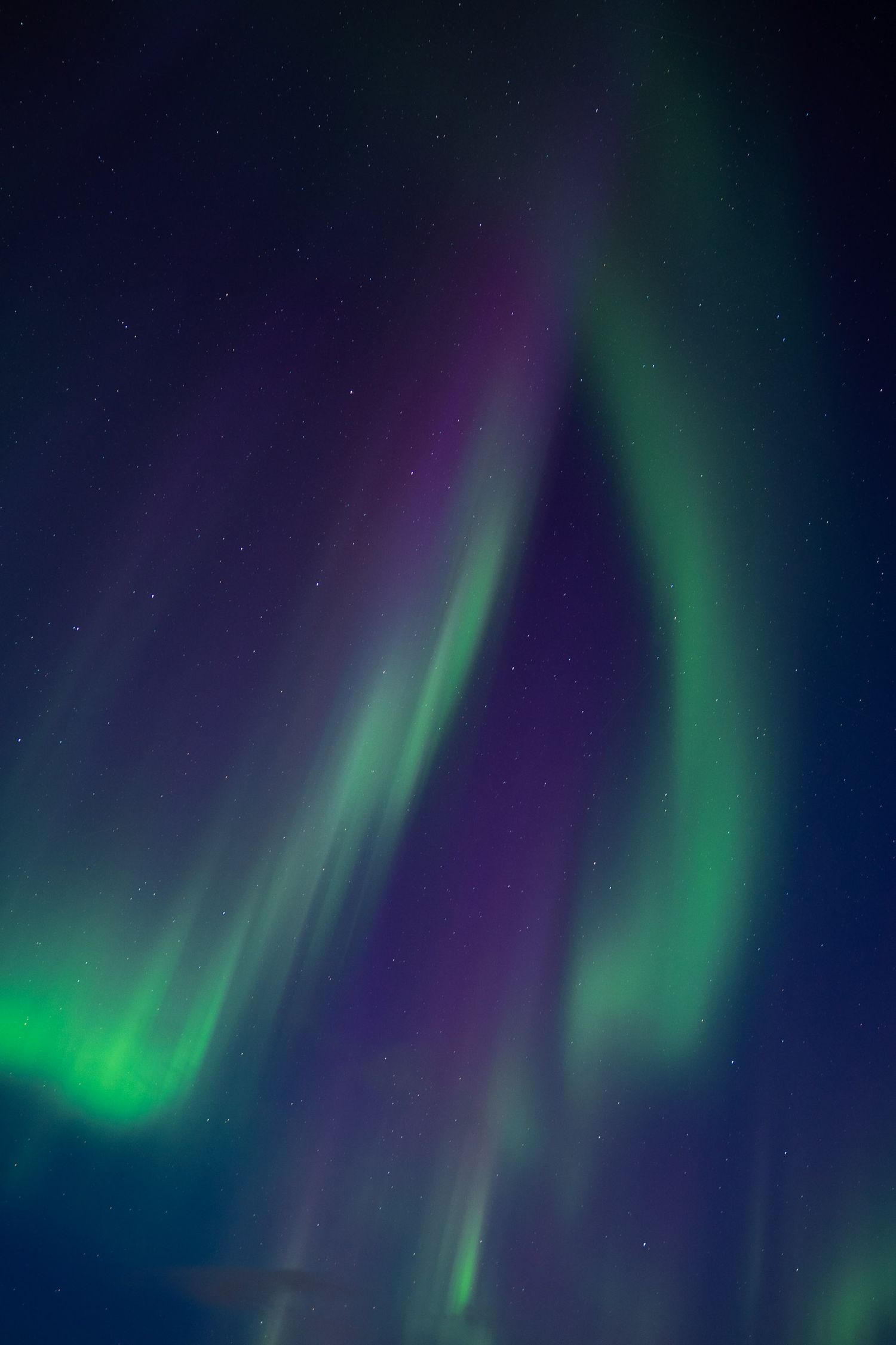 aurores boréales en hiver à tromso en norvège