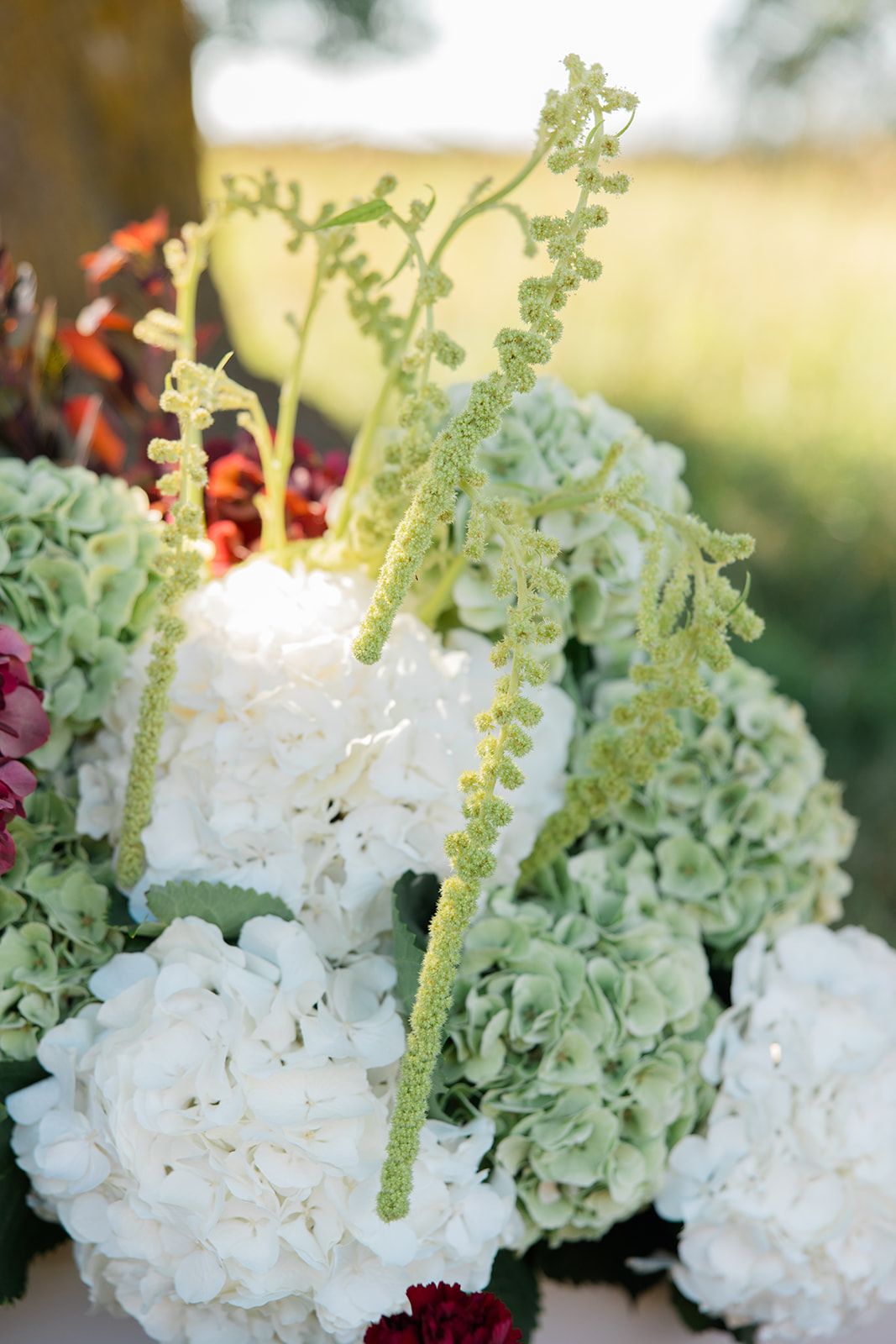 White hydrangea and dusty miller floral arrangement with delicate green accents creates an elegant garden display.