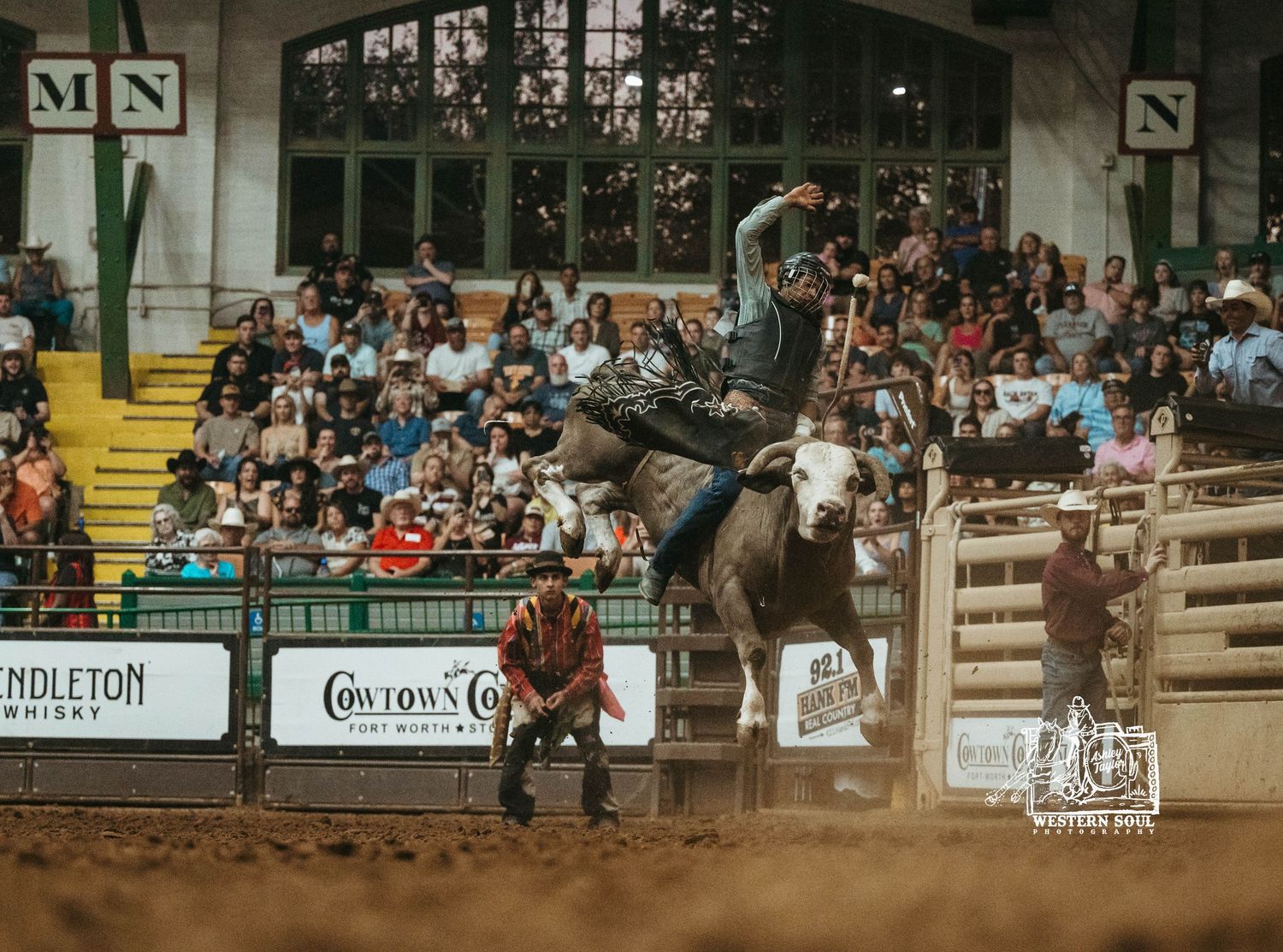 Rodeo action shot of bull rider in Cowtown Coliseum Ft. Worth, Tx arena with crowd in background.