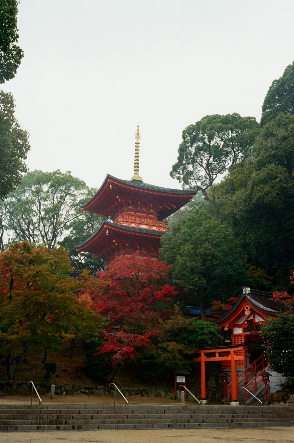 Traditional Japanese pagoda and torii gate surrounded by vibrant red autumn maple trees in a serene temple setting.