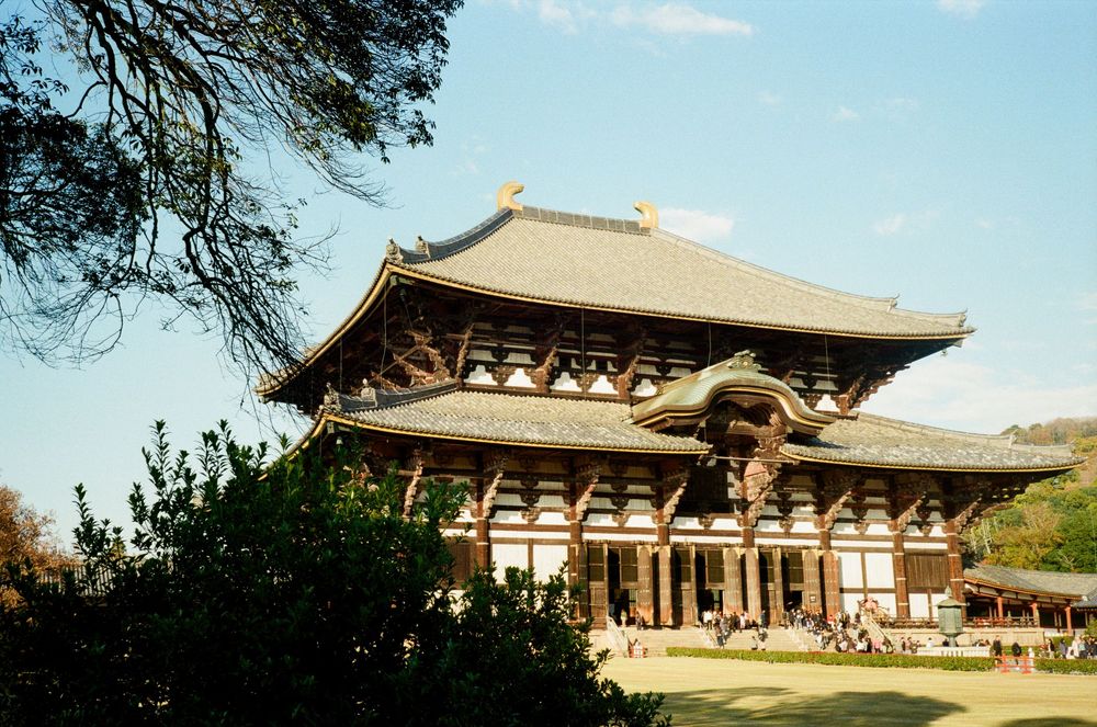 Panoramic view of traditional Japanese Buddhist temple buildings with curved roofs against a blue sky and green trees.