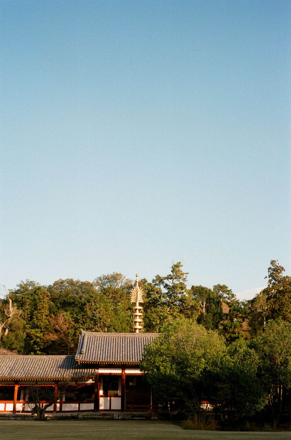 A panoramic view of a traditional Asian-style building with tiled roofs nestled among trees against a blue sky.