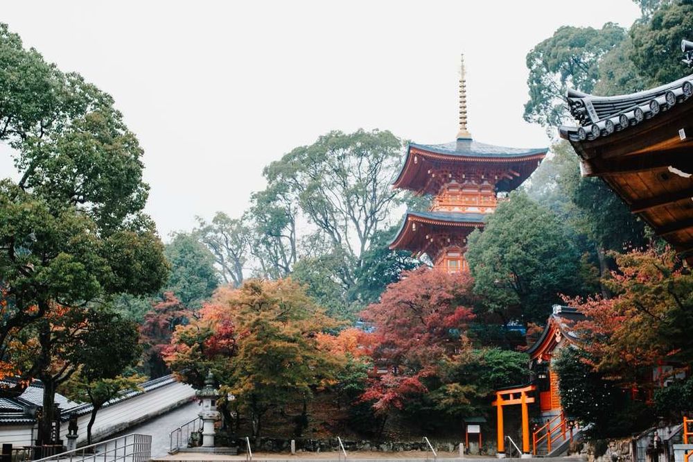 Traditional Japanese pagoda temple surrounded by vibrant autumn maple trees in a serene garden setting.