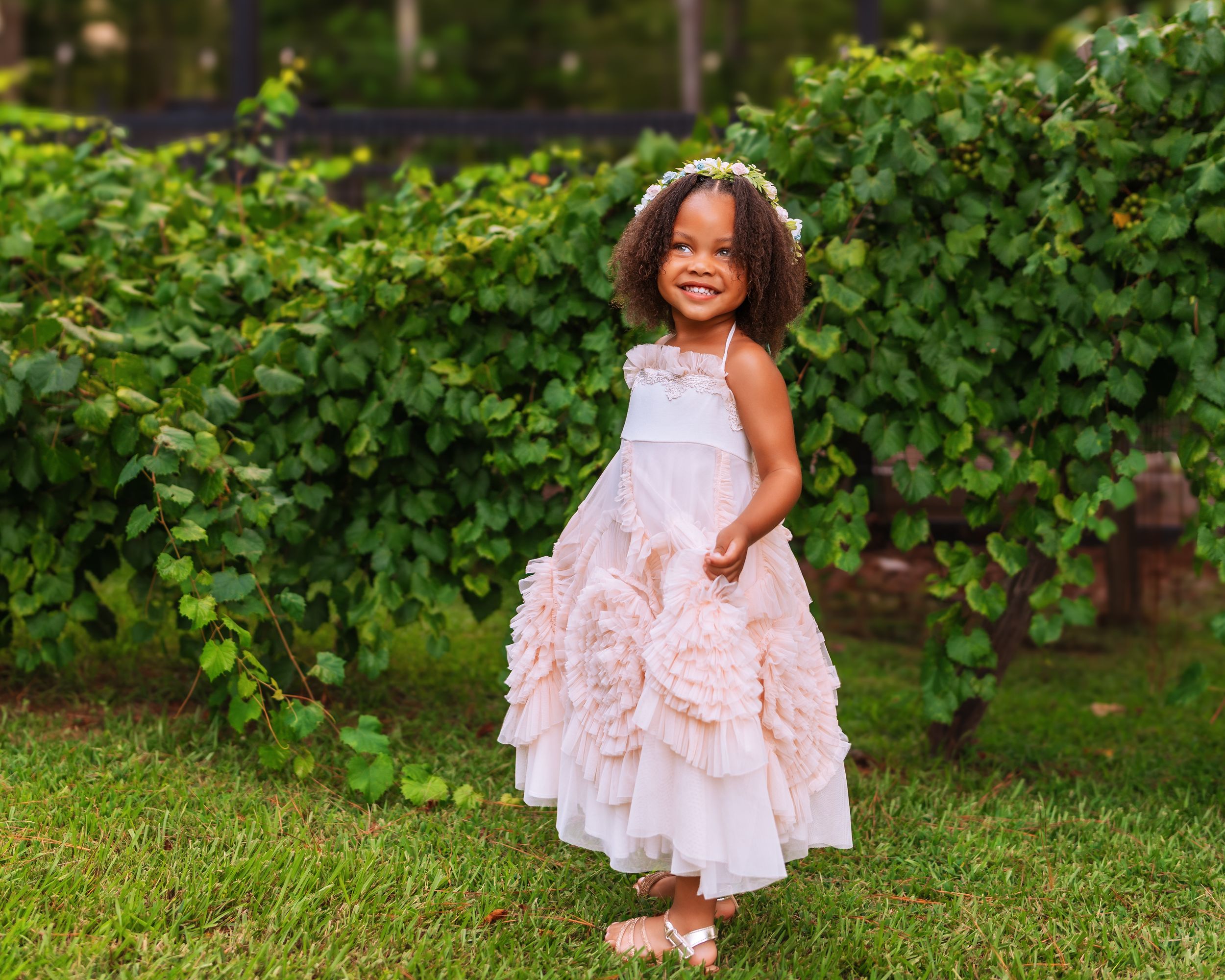 Little girl in a pink dress standing in front of grapevines in the summer