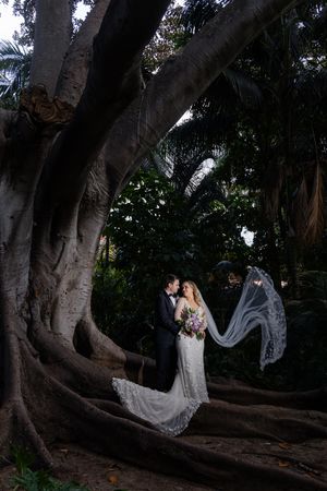 A romantic wedding photo captured under a majestic old tree with a flowing veil caught in the breeze at dusk.