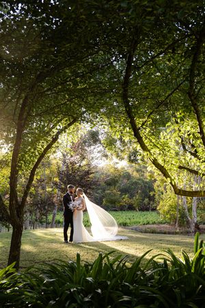A romantic wedding couple stands under lush green trees in a garden setting during golden hour with sunlight filtering through.