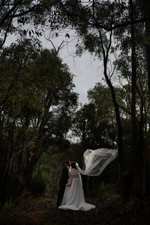 A figure in a flowing white wedding dress stands among dark trees in a moody forest setting.