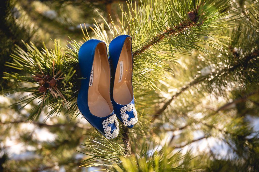 Blue high heel shoes adorned with rhinestone embellishments peek through green pine tree branches in sunlight.