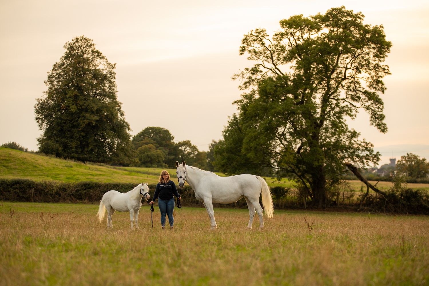 Two riders stand with their animals - a dog and a dark horse relaxing outdoors in a black and white photo.