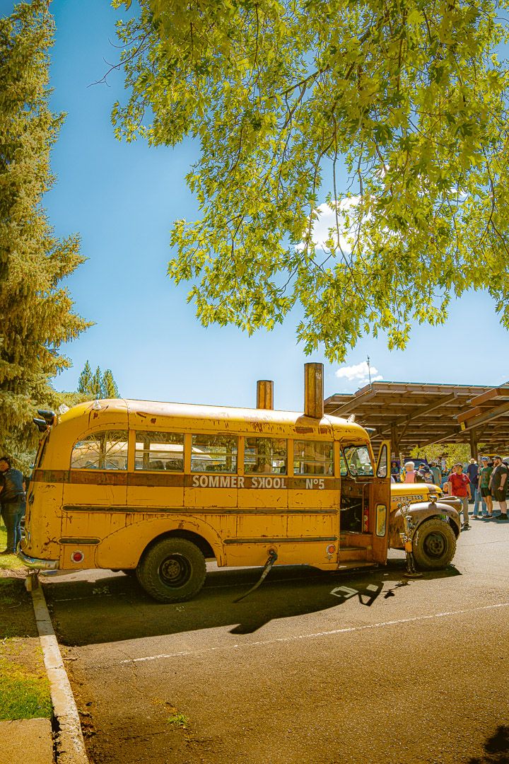 Multiple vintage yellow school buses parked in a row under green trees on a sunny day, creating a nostalgic scene.