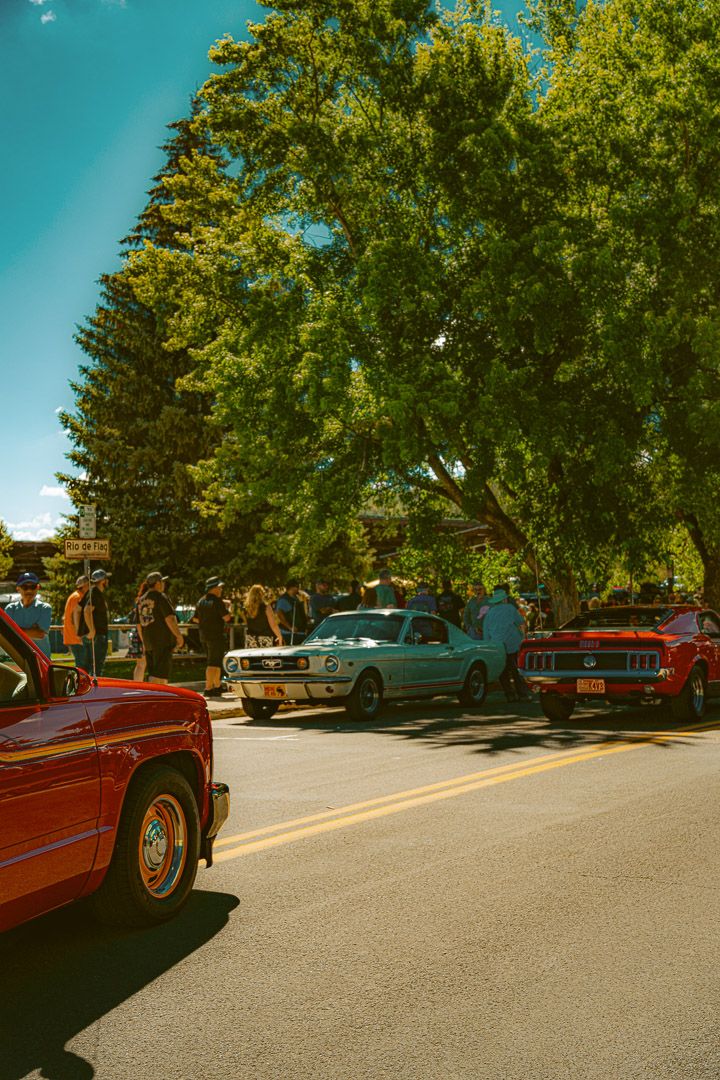 Five sequential photos showing sections of a tree-lined parking lot on a sunny day with vintage cars parked under shade.