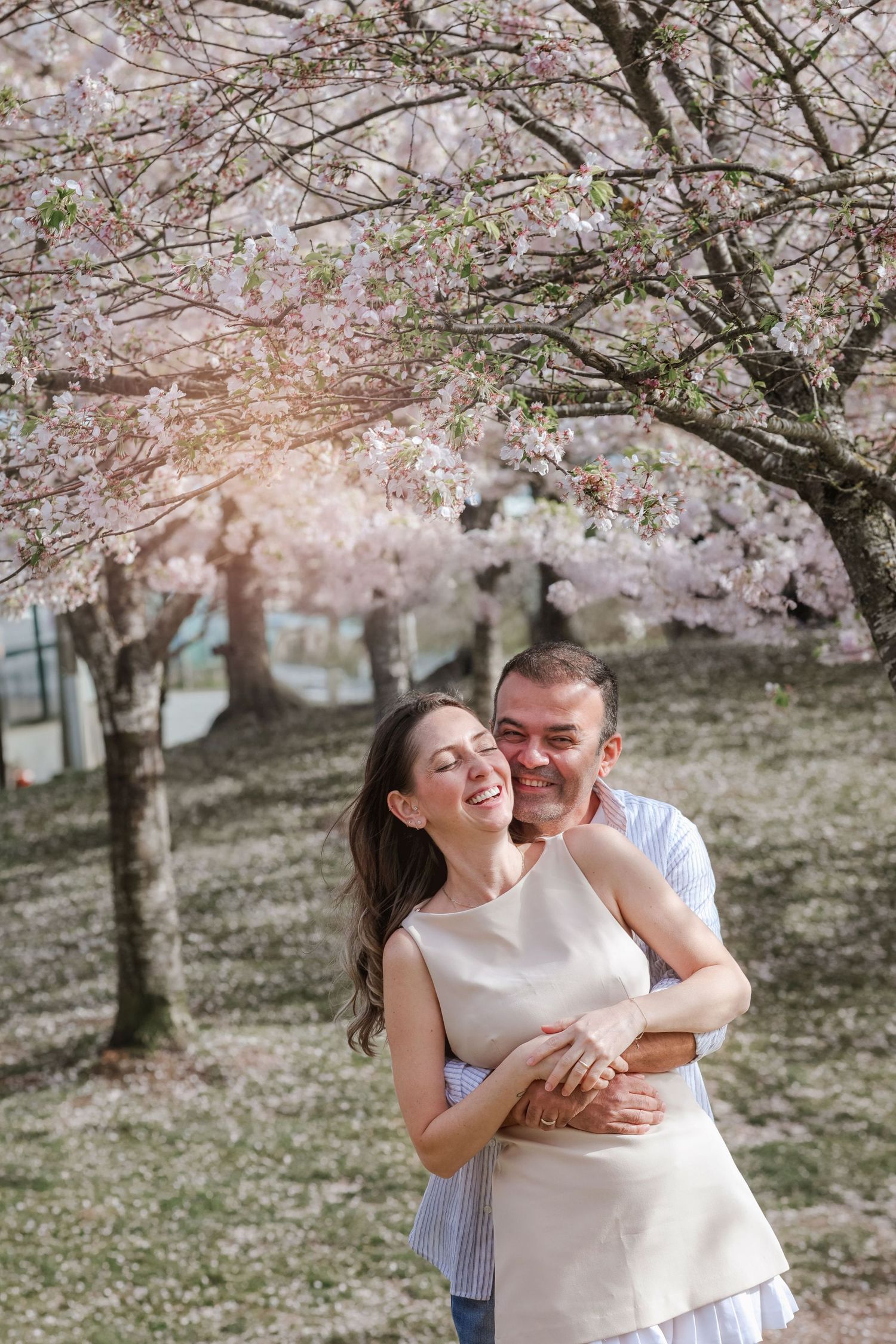 Vancouver anniversary photography with cherry blossoms in bloom
