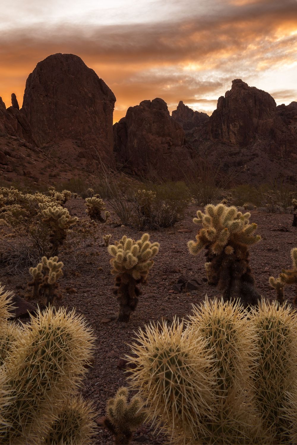 Iowa Landscape Photographer, sunrise Kofa mountains arizona