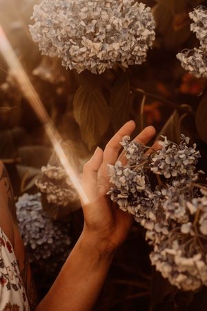 Servizi fotografici per coppie e matrimoni  
Racconti visivi autentici per coppie innamorate. Servizi foto wedding e love story  a Cogliate