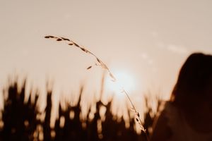 Servizi fotografici per coppie e matrimoni  
Racconti visivi autentici per coppie innamorate. Servizi foto wedding e love story  a Cogliate
