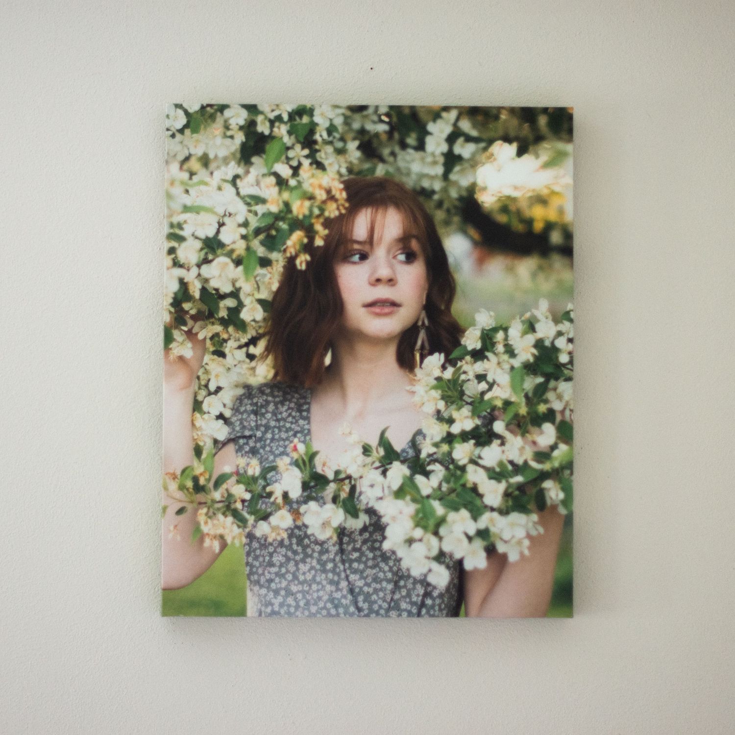 Portrait photograph among white spring blossoms mounted on wall.