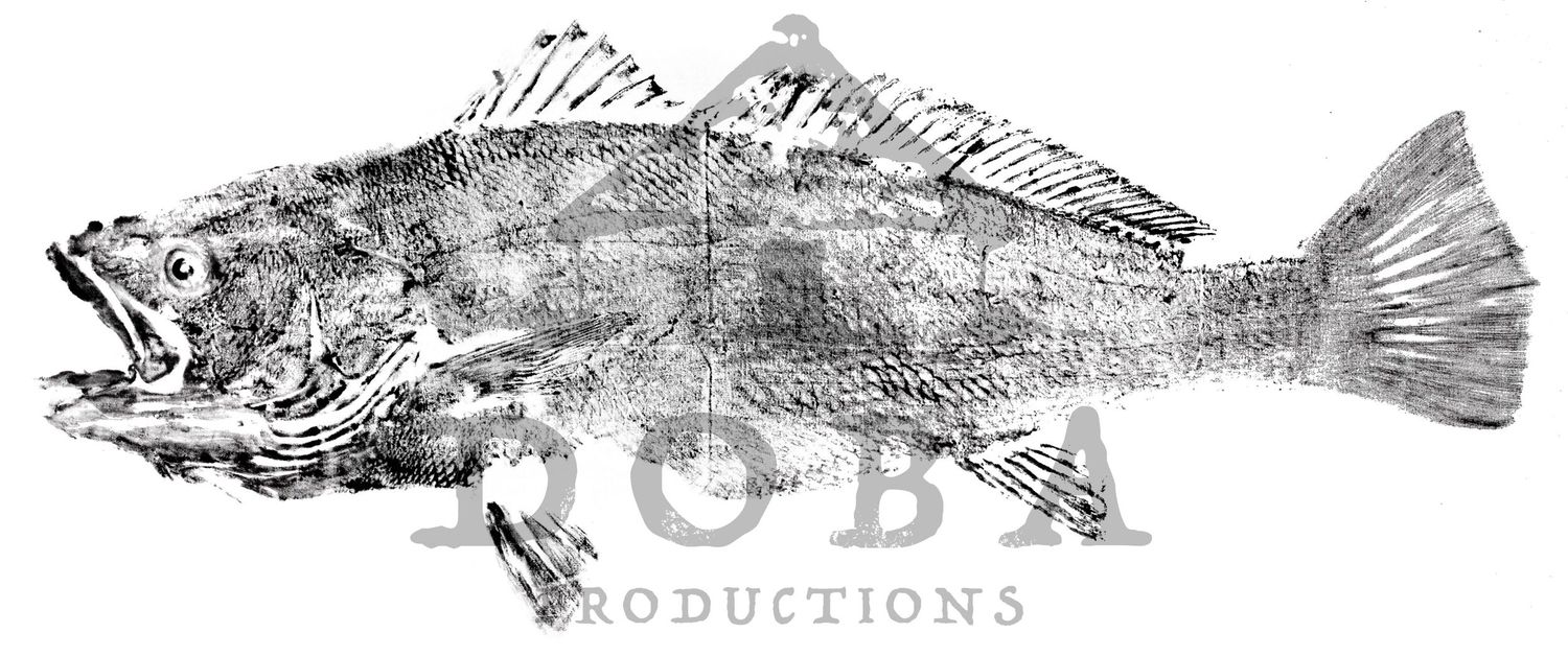 Four black and white drawings of fish species arranged in a horizontal row with detailed anatomical features.