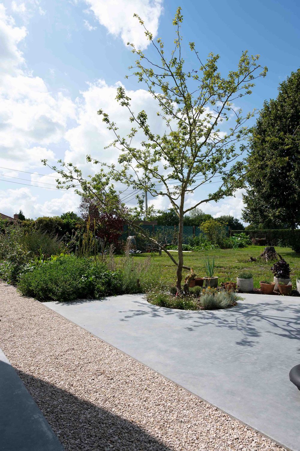 Garden path with gravel and concrete design featuring young trees and landscaped borders.