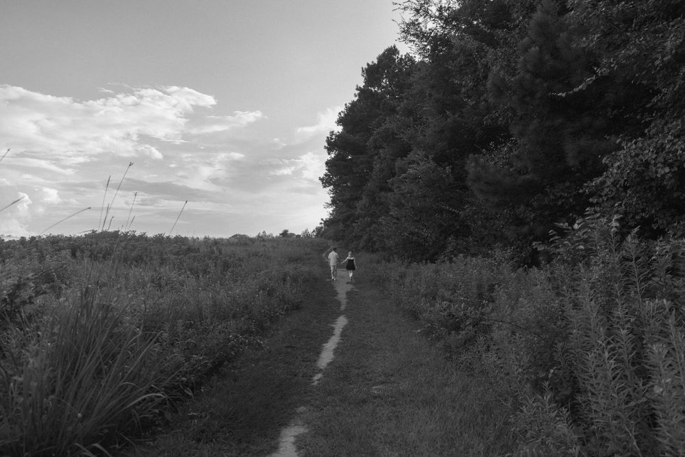 Adventurous couple holding hands in a Blue Ridge field with mountain views.