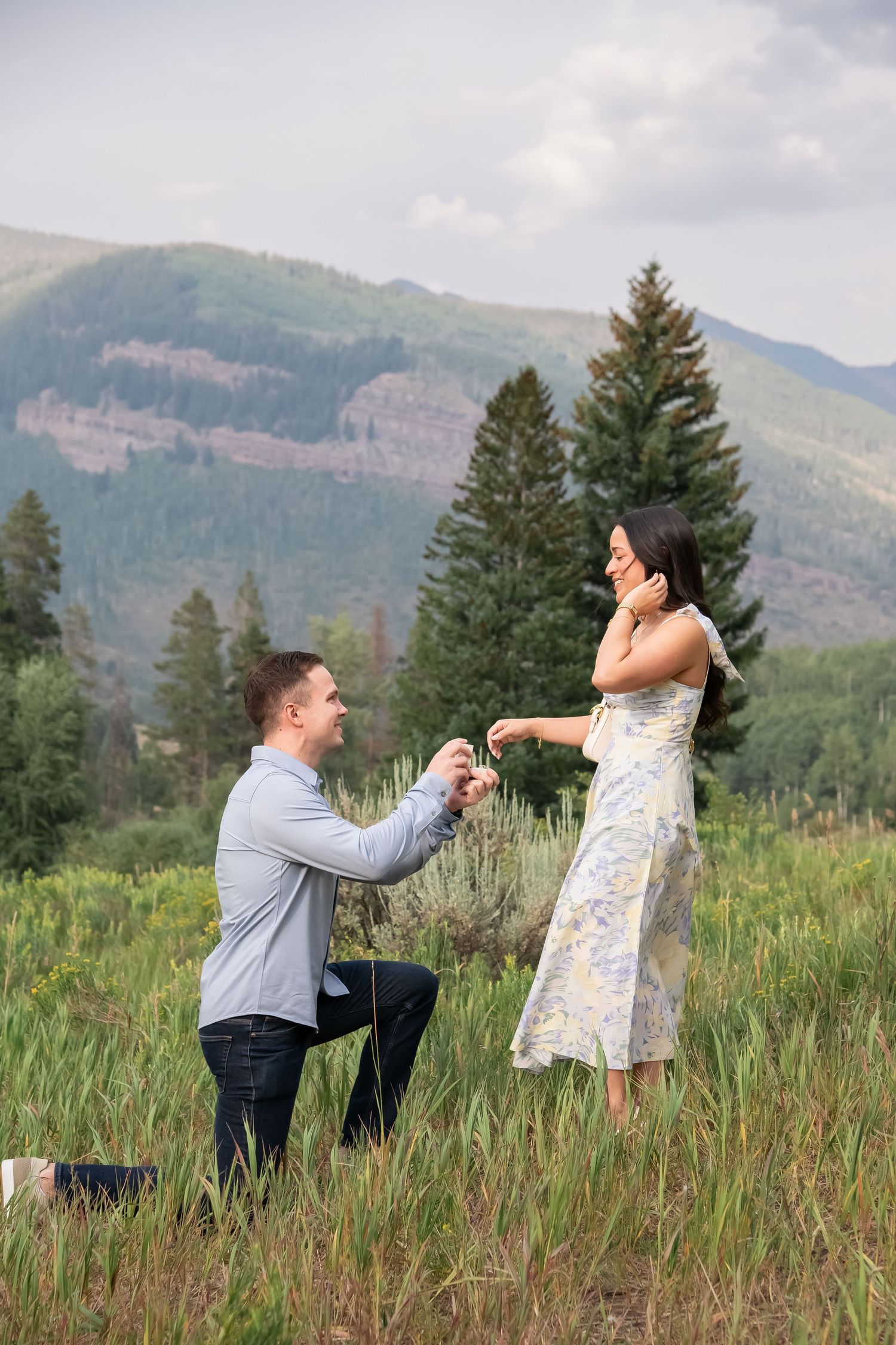Vail proposal
