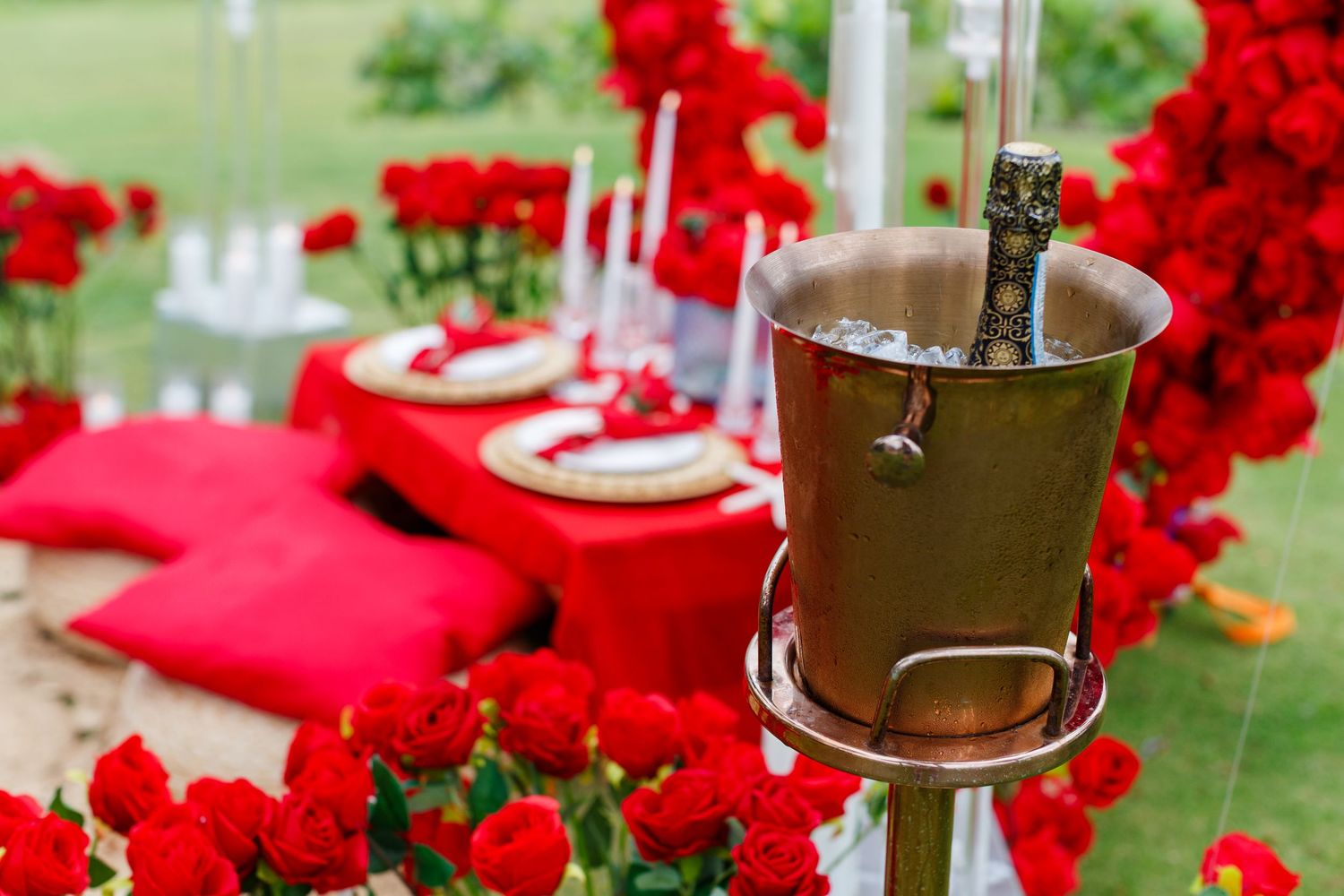 Champagne bottle in ice bucket with red roses and picnic setup.
