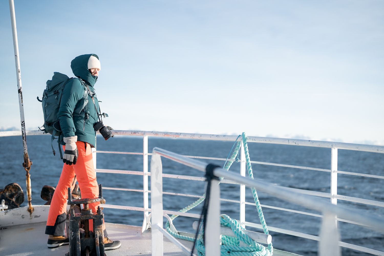 expedition en bateau safari baleine andenes