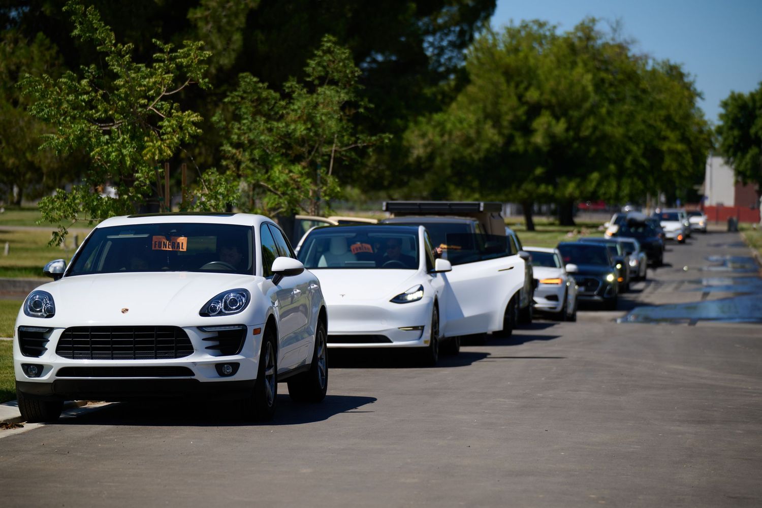 A line of white Porsche luxury sports cars parked in a row at an outdoor dealership lot on a sunny day.