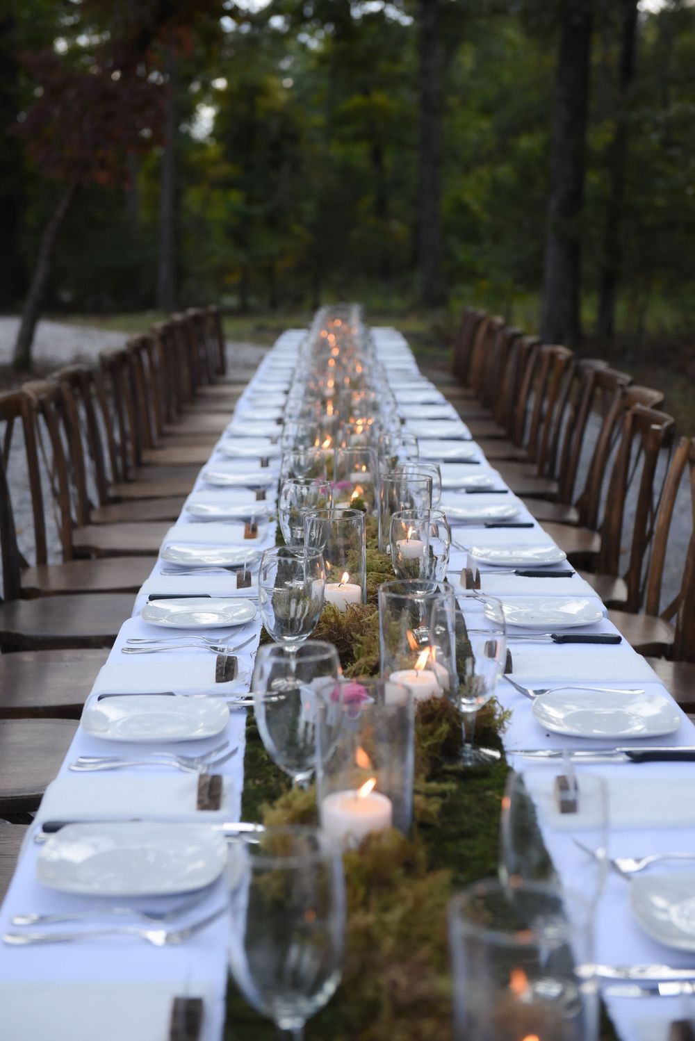 Mossy green, surrounded by trees, planning an intimate wedding dinner that feels like something out of Bella & Edward's wedding in Twilight
