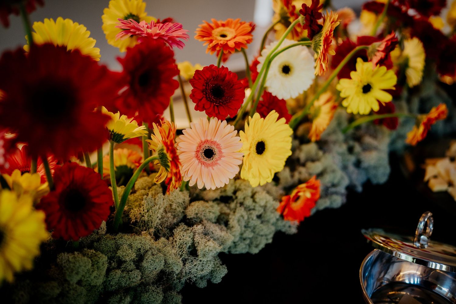 Vibrant array of red, yellow and orange gerbera daisies arranged with grey foliage in dramatic lighting.